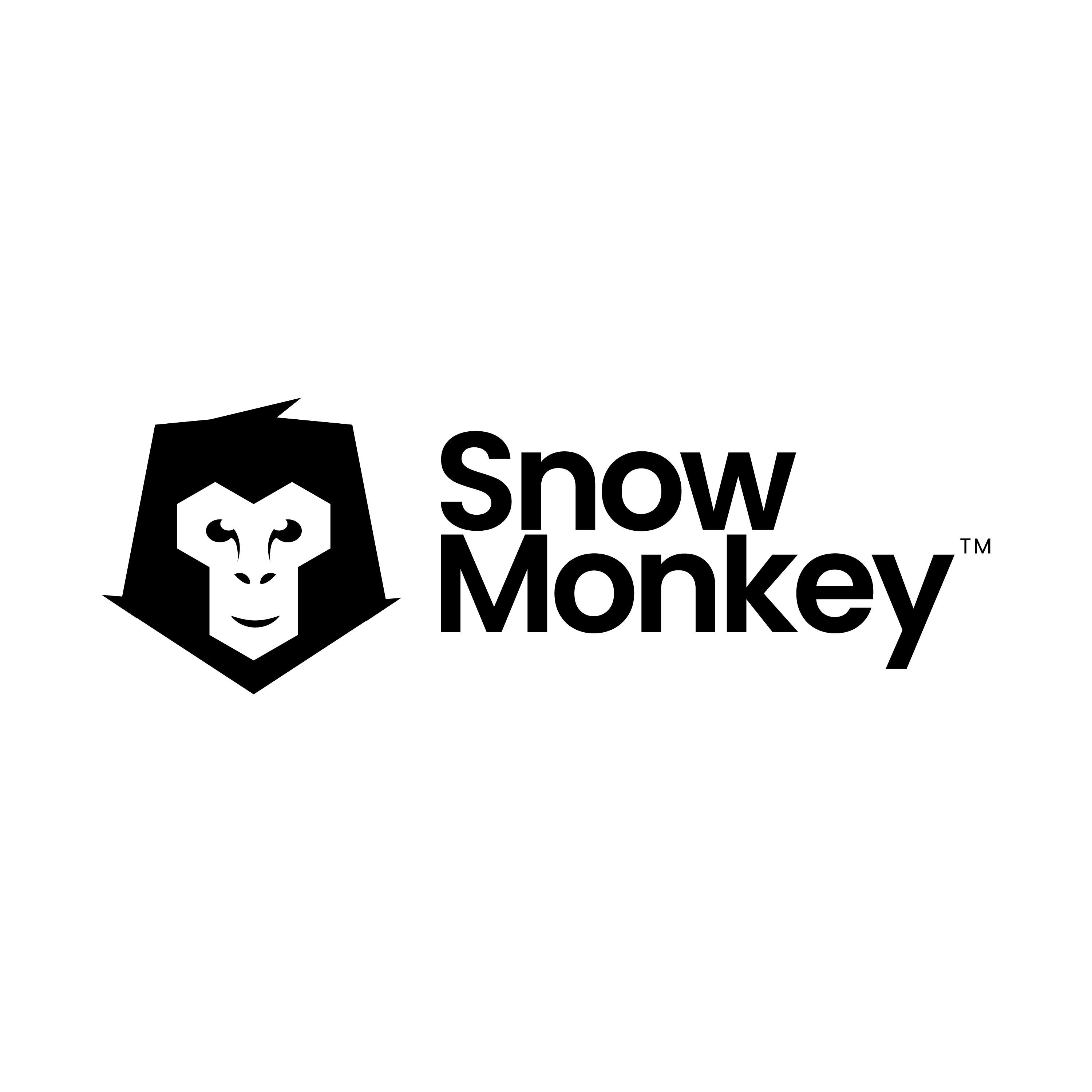 Snow Monkey image 36673